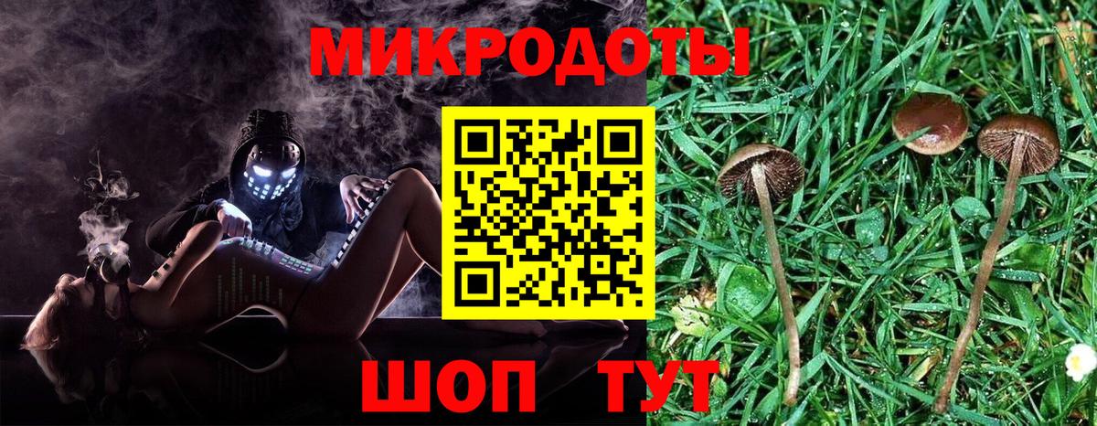 Псилоцибиновые грибы Дмитров