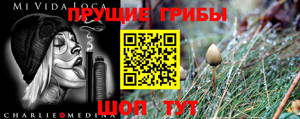Дмитров  Галлюциногенные грибы MAGIC MUSHROOMS  Вход с VPN 