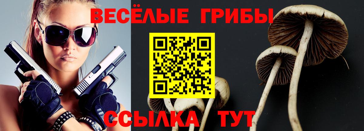Псилоцибиновые грибы MAGIC MUSHROOMS Дмитров
